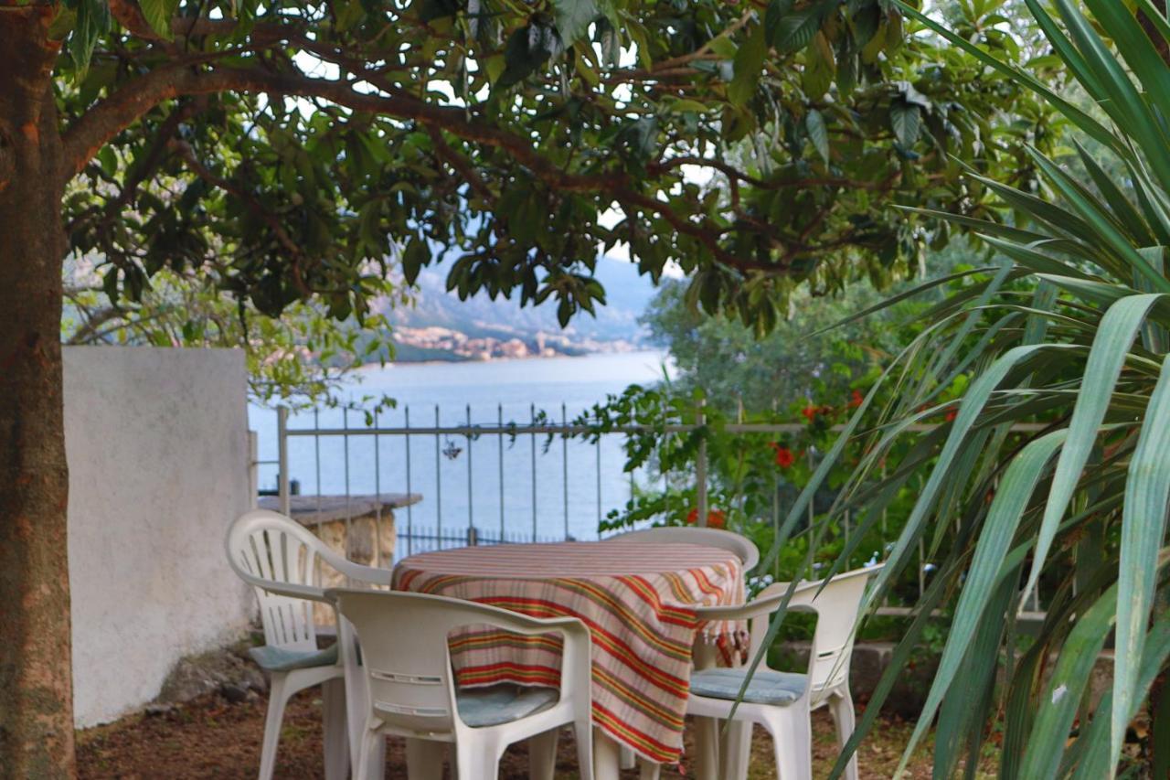 Lemon Tree Villa Kotor Exterior photo